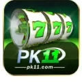 PK11.COM